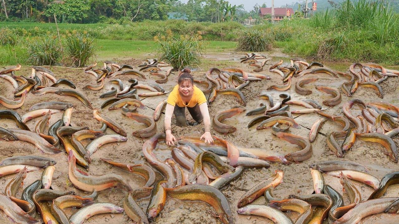 Ли Тье Тоан из Вьетнама. Ловит много Угрей. Для продажи на местном рынке.