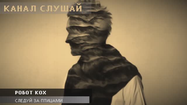 Робот Кох - Следуй За Птицами