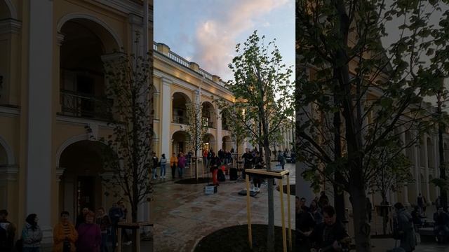 77_СПб_КиШ_Проклятый_старый_дом