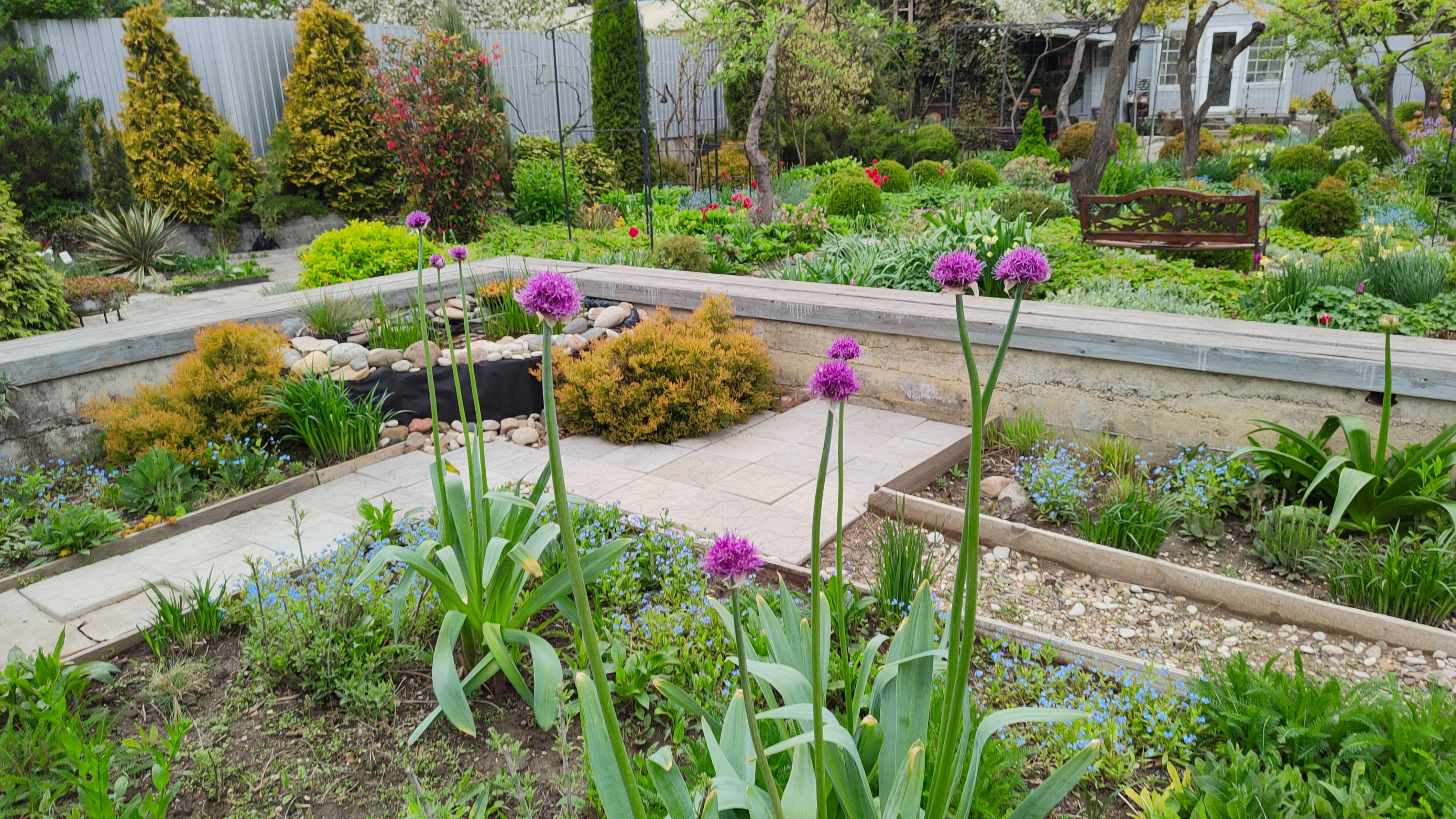 Как я создавала клумбу в фундаменте 28.04.2025 г. Пятигорск, зона зимостойкости 6б.