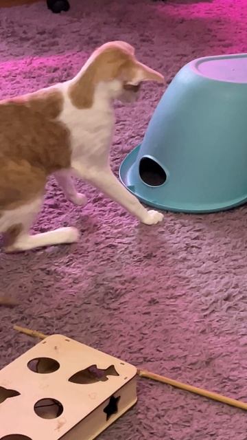 Тайный враг