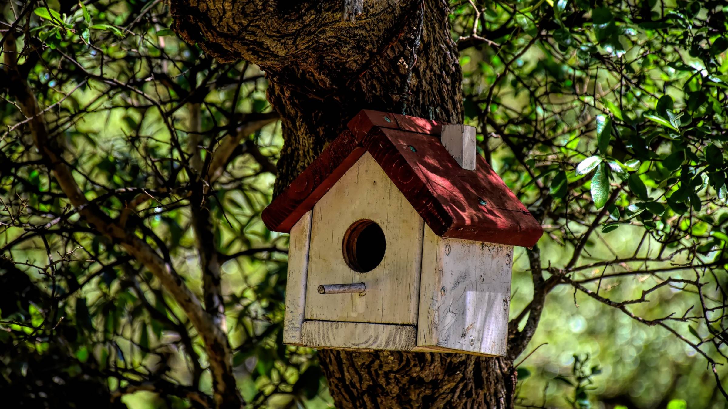 как из 1 палки и 2 кружков сделать скваречник
