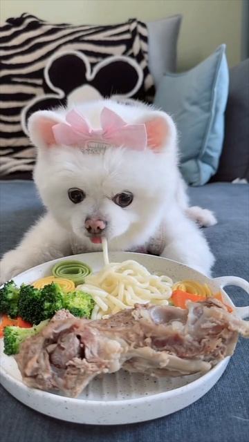 Сборка 3 Весёлые собачки и кошка