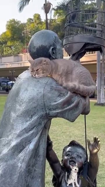 коты и собаки общаются с памятниками