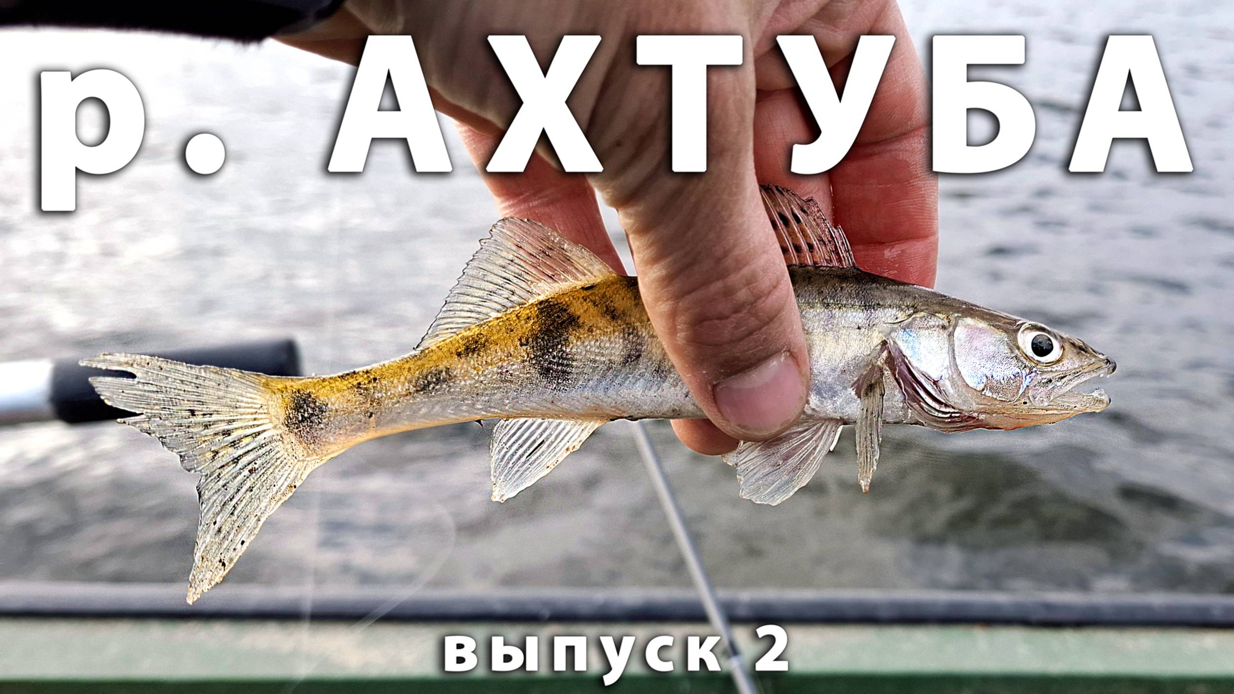 Щука, окунь, вобла, лещ! Рыбалка в Астрахани весной. Харабали, база Слобода, река Ахтуба.