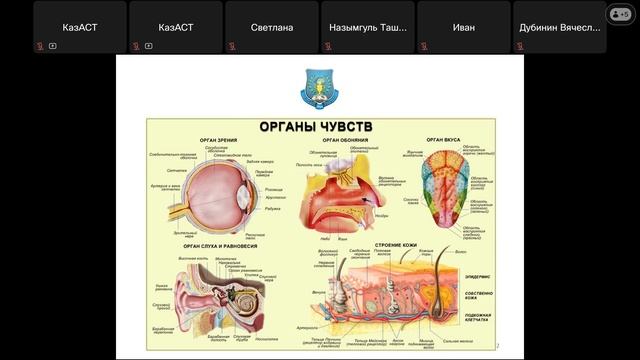 Кисебаев Жанибек Сагатович (03.05.2025г.)
