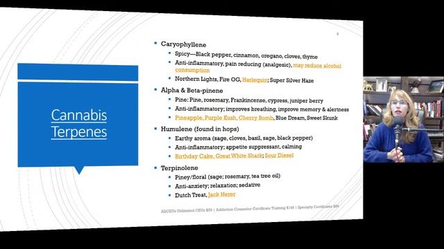 Terpenes in Cannabis and Essential Oils _ Mental Health Benefits