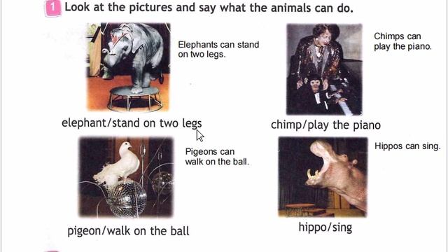 SPOTLIGHT 3 учебник 2 часть страница 76 (146)