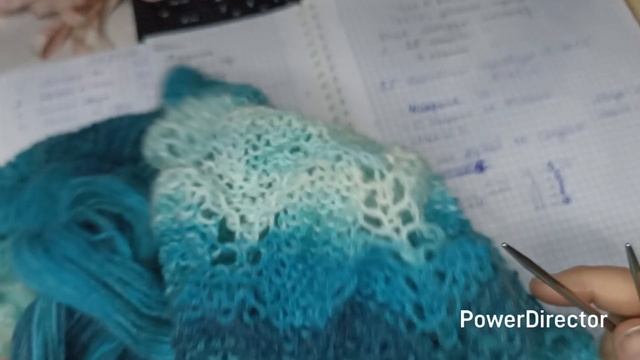 сп добиваю недовязы -4/2025/  отчёт 6