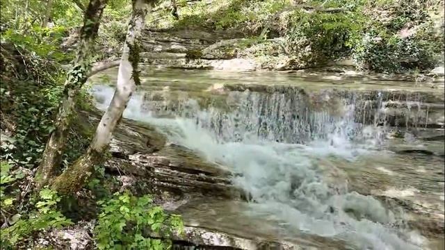 ПРОГУЛКИ В ГЕЛЕНДЖИКЕ  117