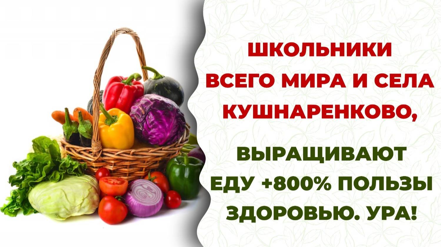 Школа, биопрепараты от БашИнкома. Будем выращивать Еду +800% пользы по витаминам, минералам и БАВ.