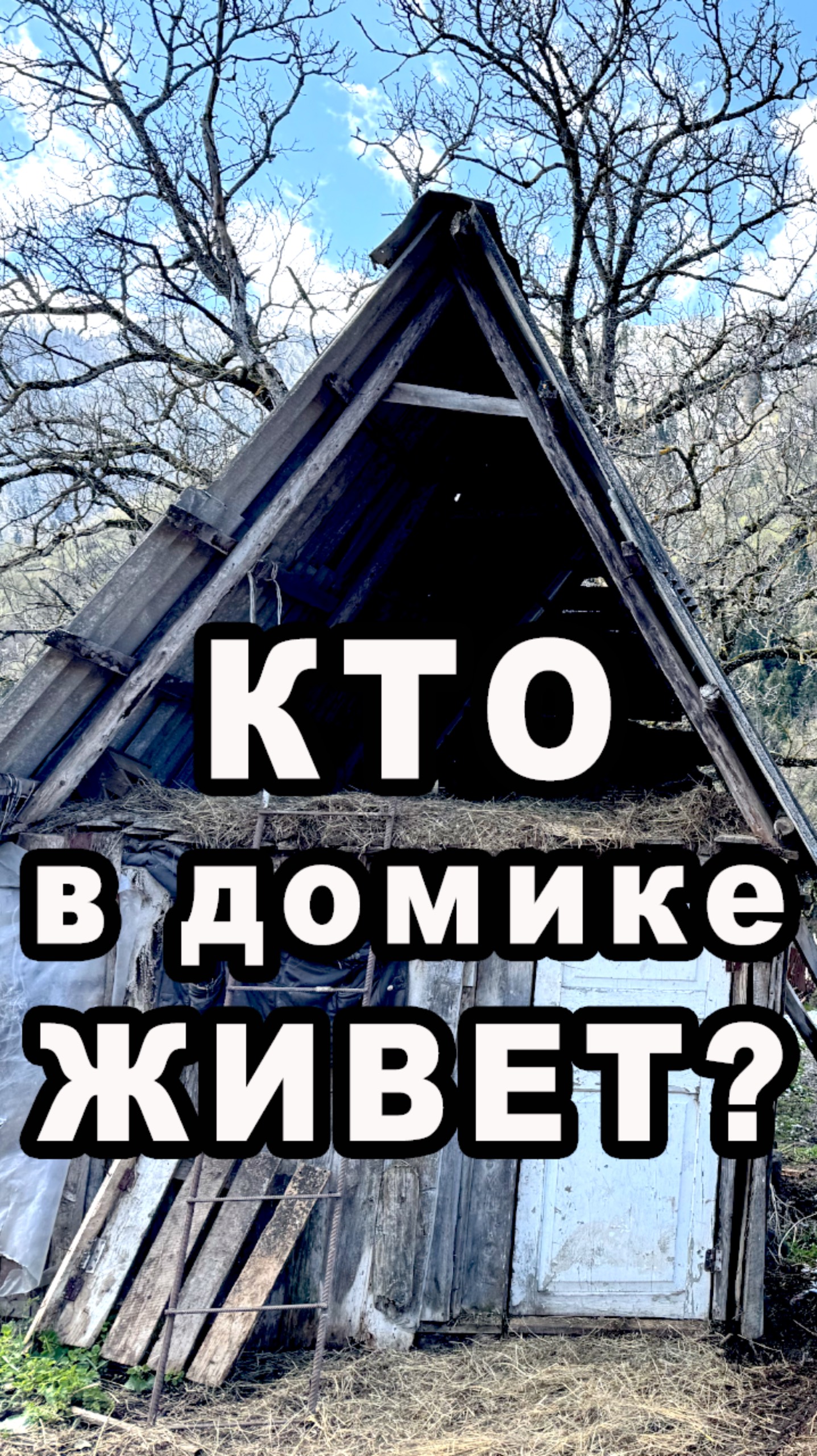 Кто в домике живет 🐮 #боржоми