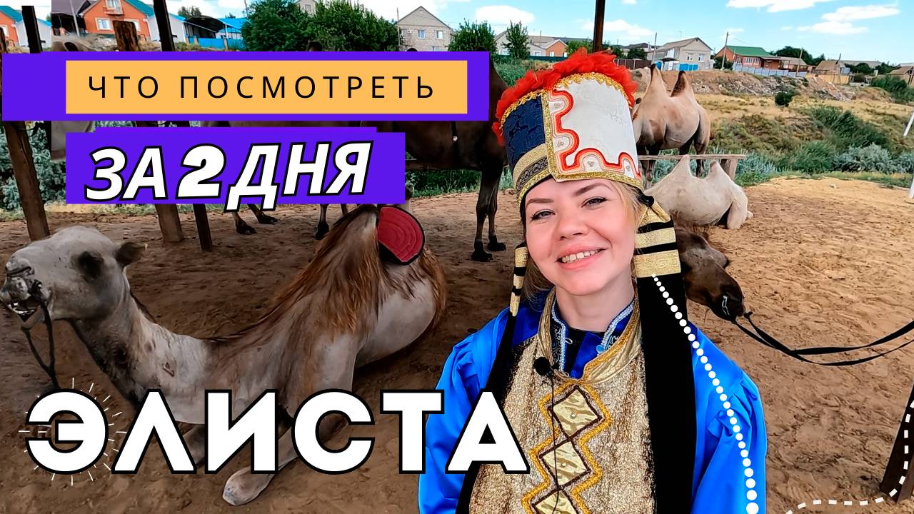 Элиста: верблюды, Будда и степь