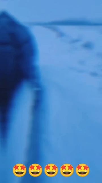 KGM TORRES. ТЕСТ ВНЕДОРОЖНИКА  из КОРЕИ