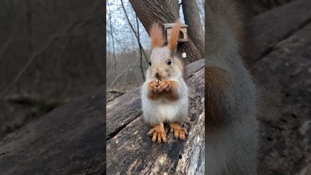 84  Plazma - Jump видеозалипалка