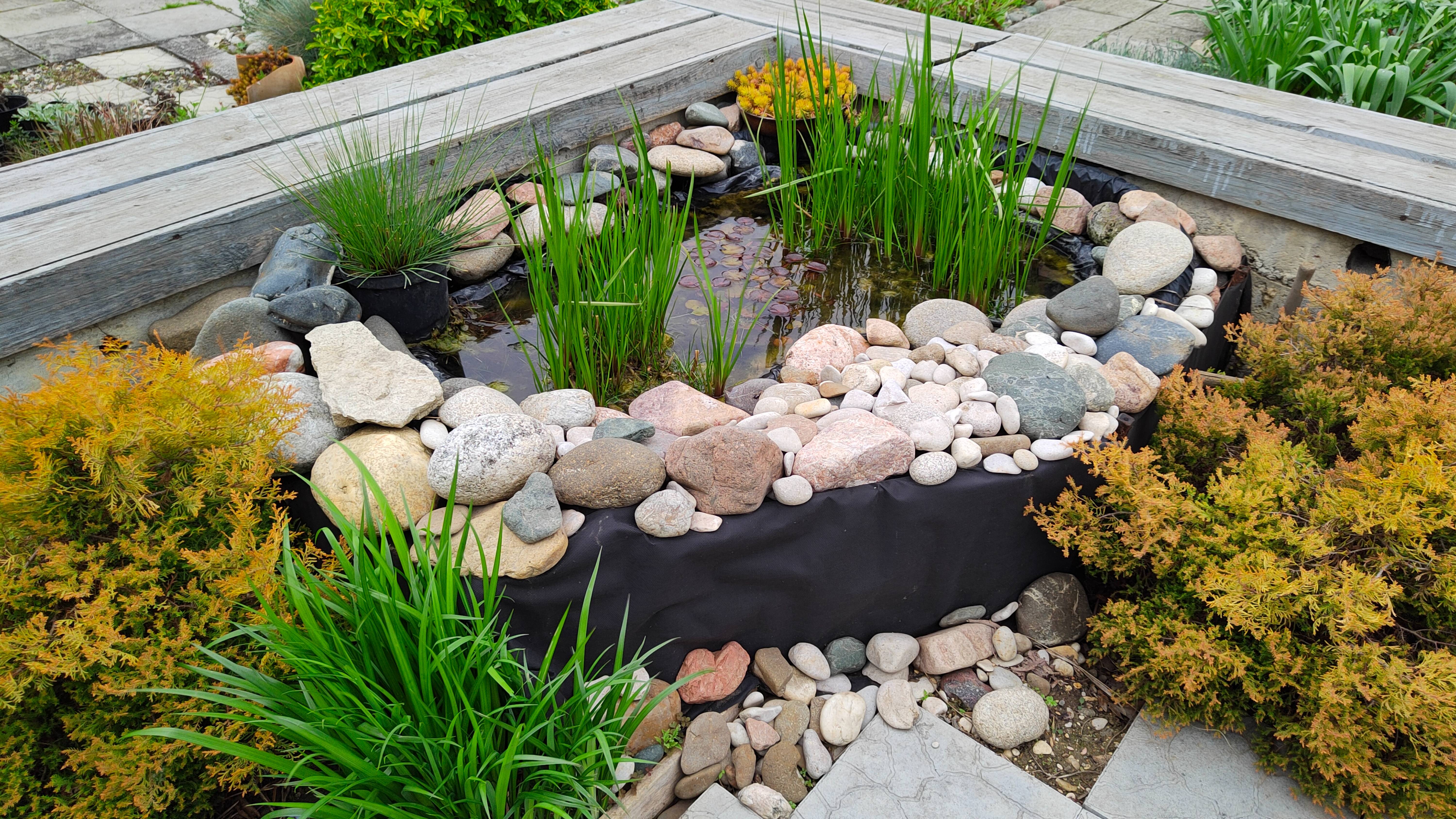 Убрали арку, пруд в саду, цветет черемша, композиция из кашпо. Южный сад 01.05.2025 г. Пятигорск.