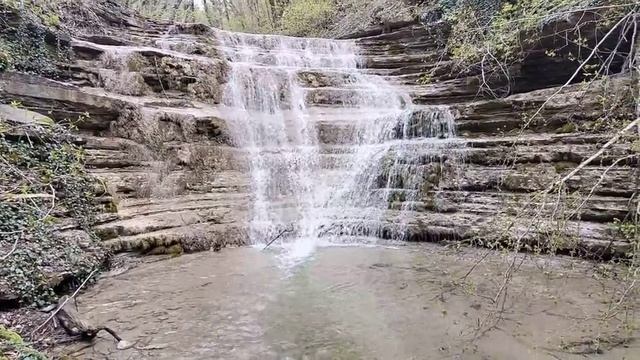 ПРОГУЛКИ В ГЕЛЕНДЖИКЕ  115