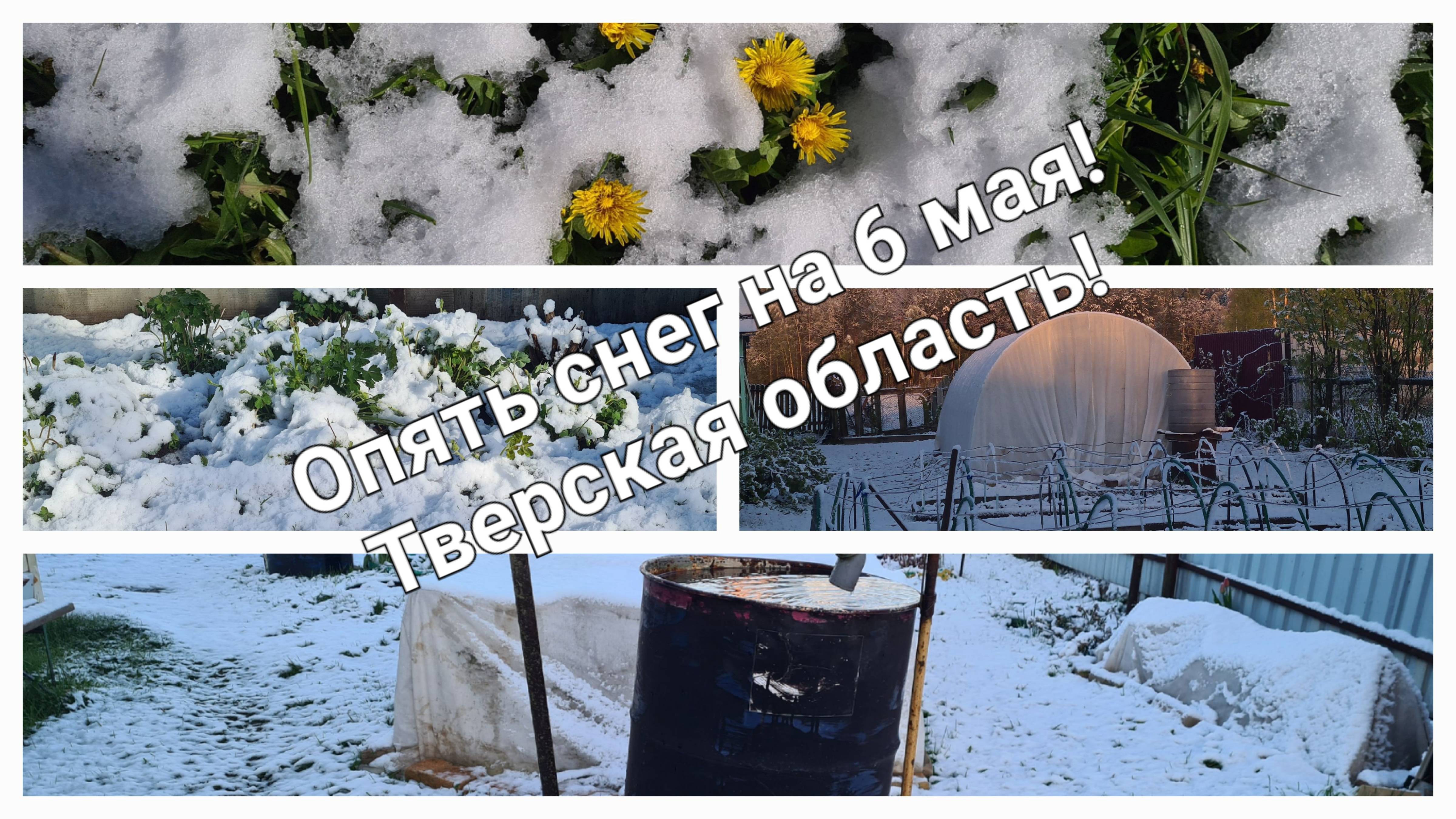 Зимой меньше снега было чем в мае 2025г. На 6 мая опять сугробы!