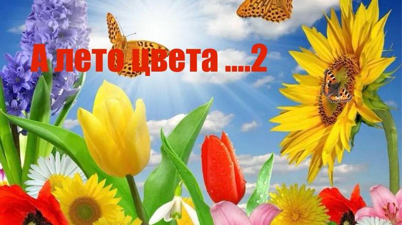 А ЛЕТО ЦВЕТА .....2 Отчёт №4