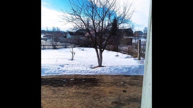 "ВЕСНА НА СЕВЕРЕ"... (Фото Ольги РЕПИЩНОЙ (Архангельск), музыка - Oystein SEVAG (Норвегия)