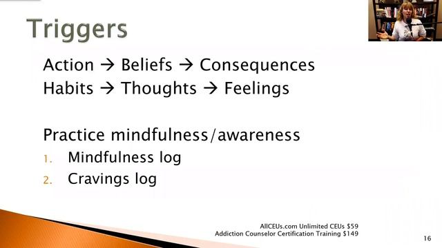 Overview of Sex & Pornography Addiction & Interventions