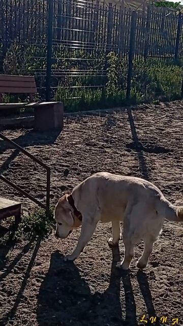 Снаряды готовы