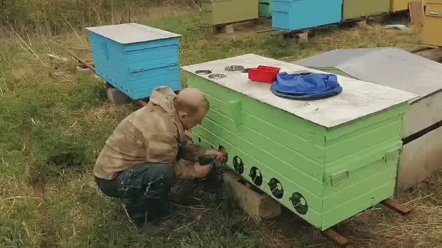 Работы на пасеке и в мастерской. Летки из нержавейки. Кормушки для пчёл из фанеры. День пчеловода.
