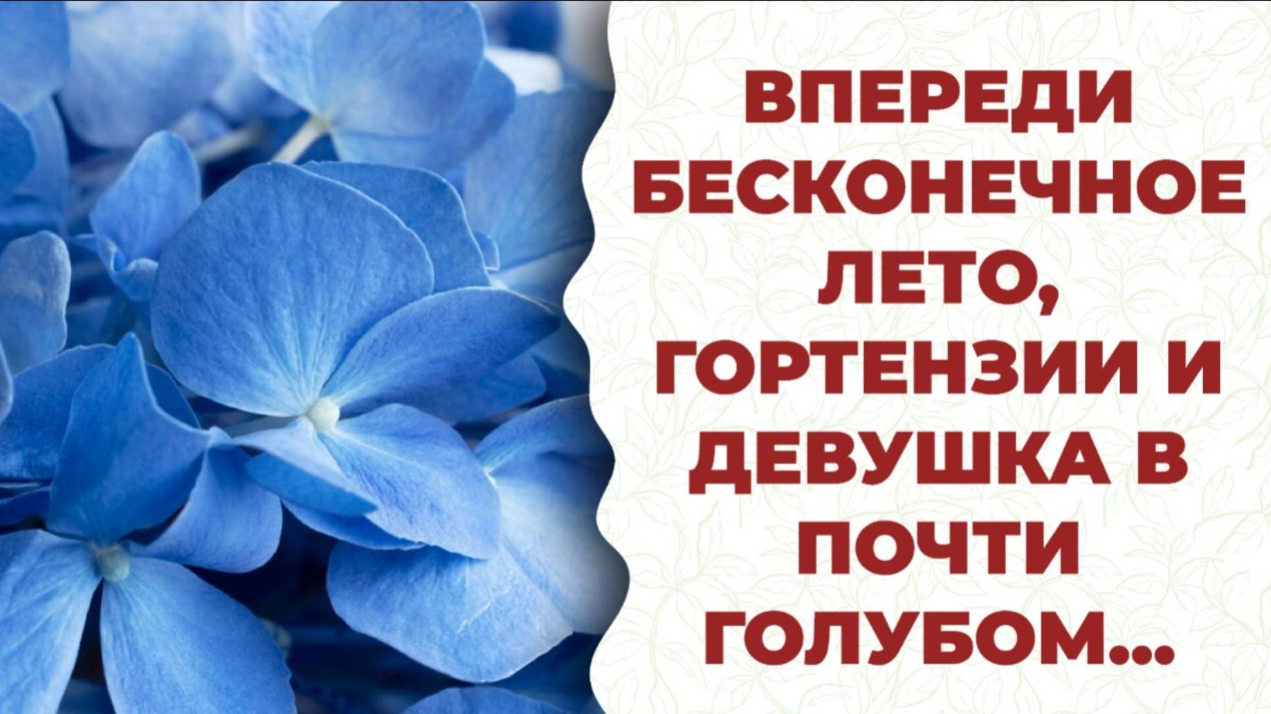Быстро, красиво, понятно! Всё для гортензии. БашИнком, ПроДекор.