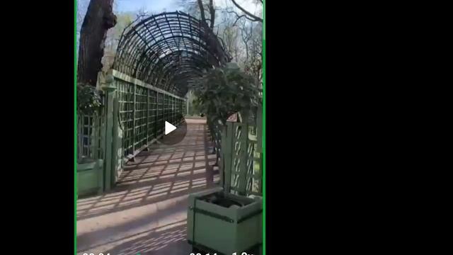 Съемка видео на смартфон. Занятие 5.05.2025. Педагог Кирсанова Катерина