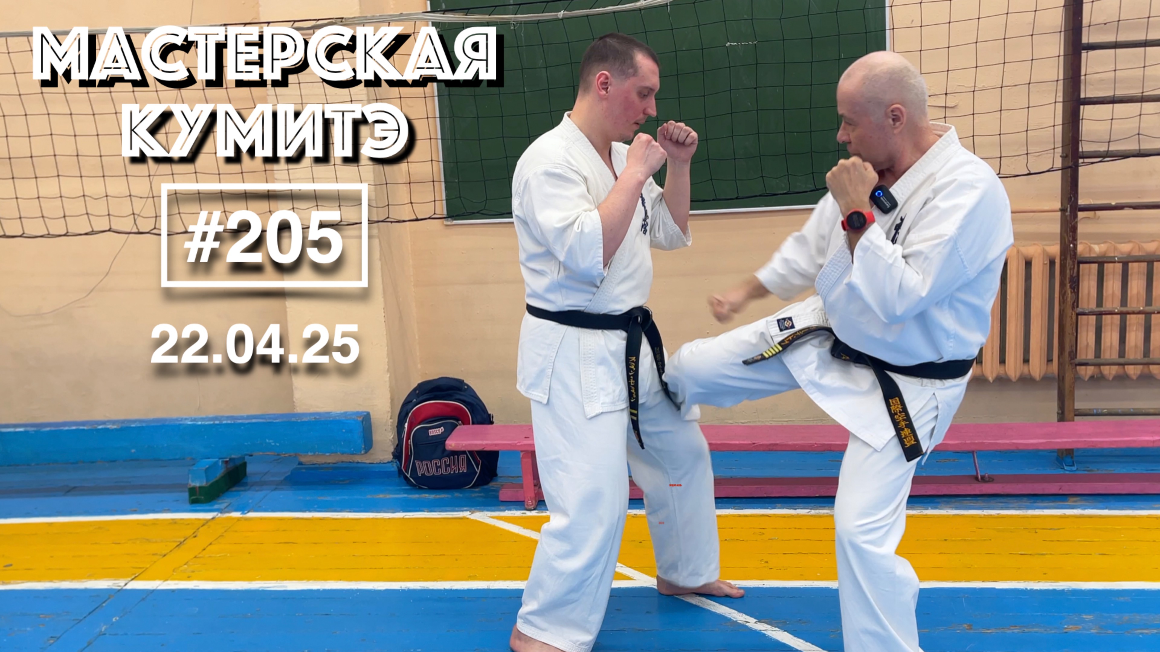 Мастерская Кумитэ Кёкусинкай (205) / Проработка связки Лоукик - Цуки (22.04.25)