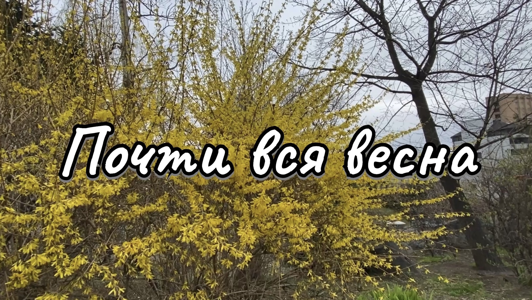 Влог. Череда жизненных событий уходящей весны. 7 мая 2025 г.