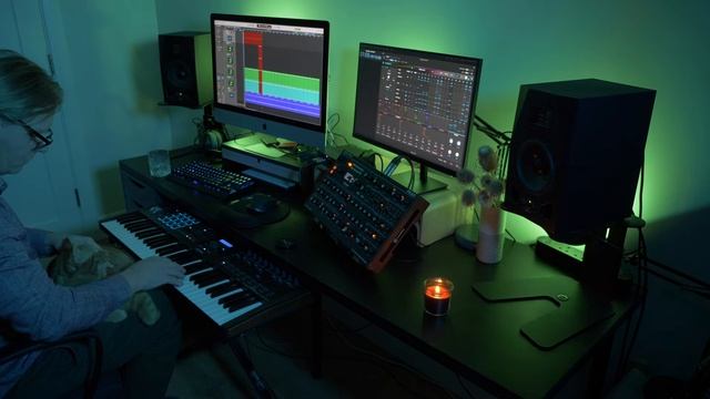 “Dromore Lough” Meditative Ambient Music with Arturia Pigments, Peak, Field Recording