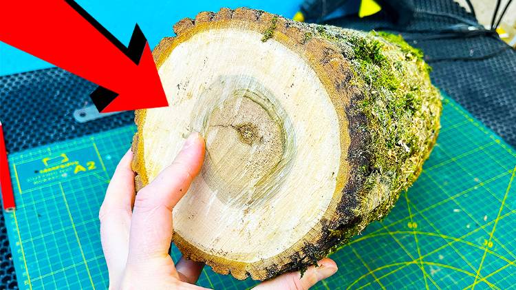 Да я на этом бизнесе такие деньги сделаю! Попробуй повтори