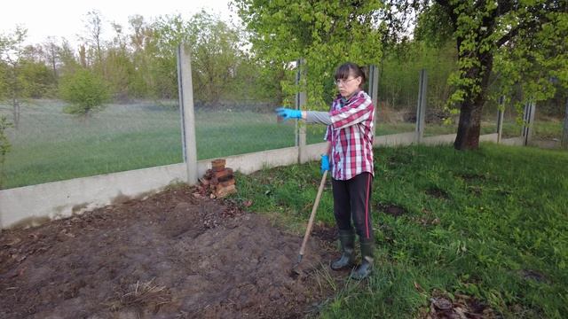 Грядка в облаках и жена с тяпкой в тумане.
