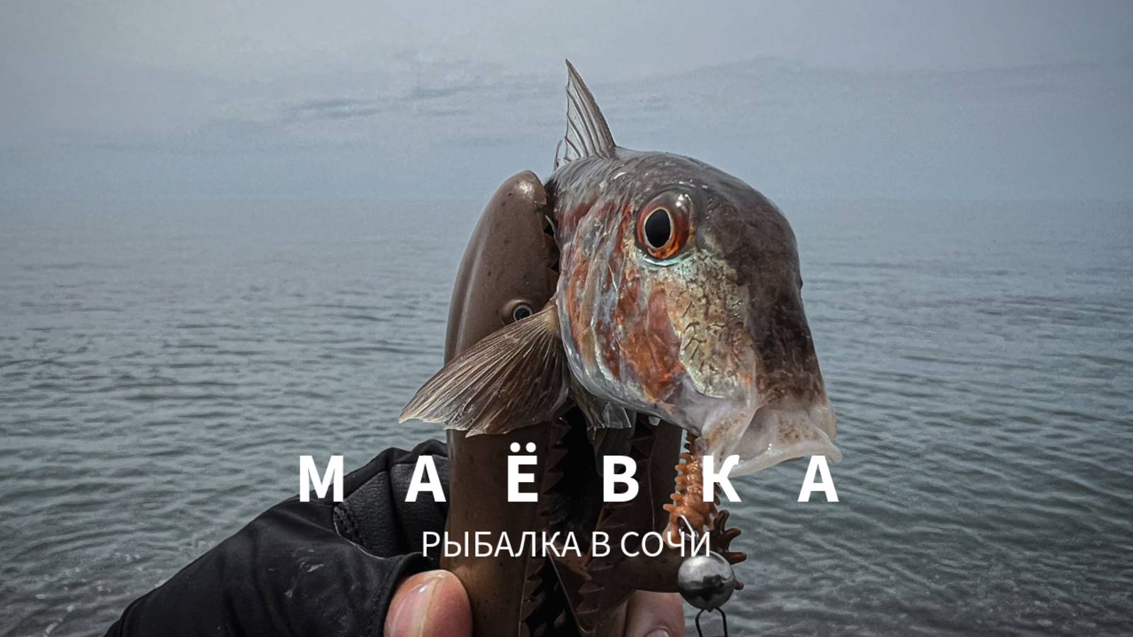 Краснокнижный трофей и барабуля на микруху. Рыбалка в Сочи.