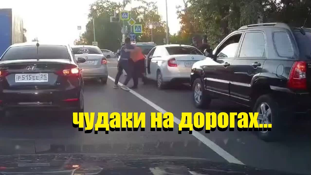 ЧУДАКИ  ДОРОГ\\барин едет\профессор-лопух\мусорить плохо\по приборам\