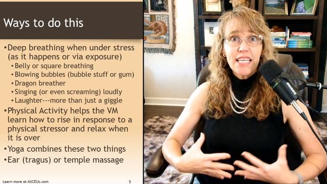 The Vagus Nerve and Strategies to Strengthen Vagal Tone