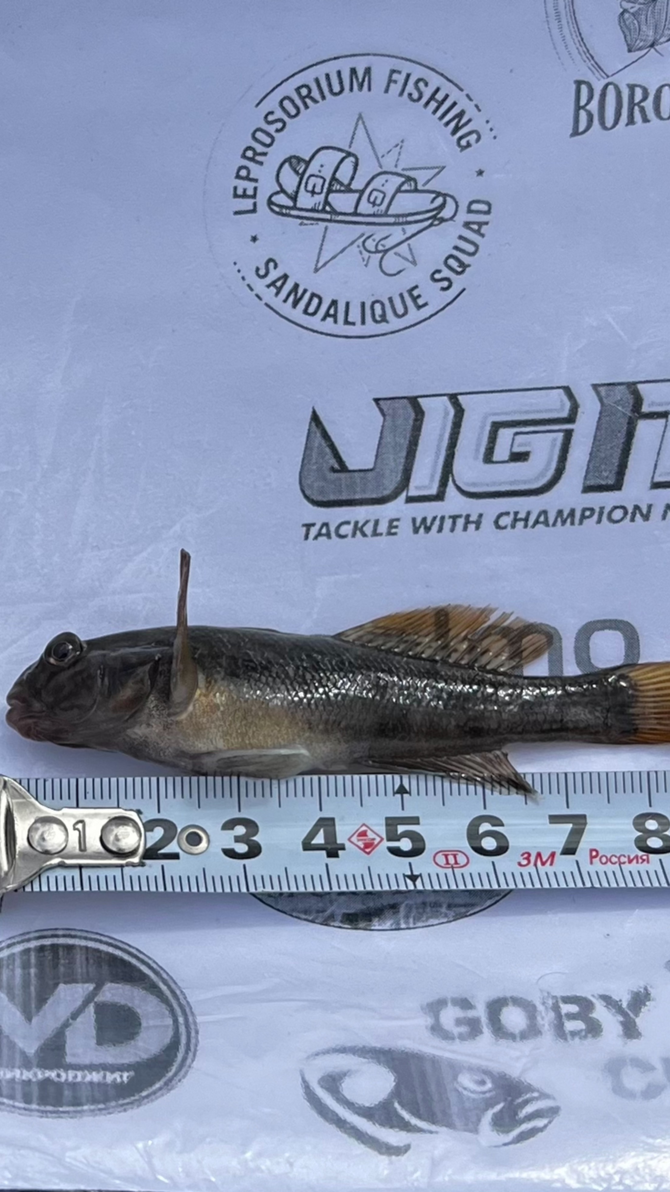 Goby Cup 2025: в поисках бычков и ротанов