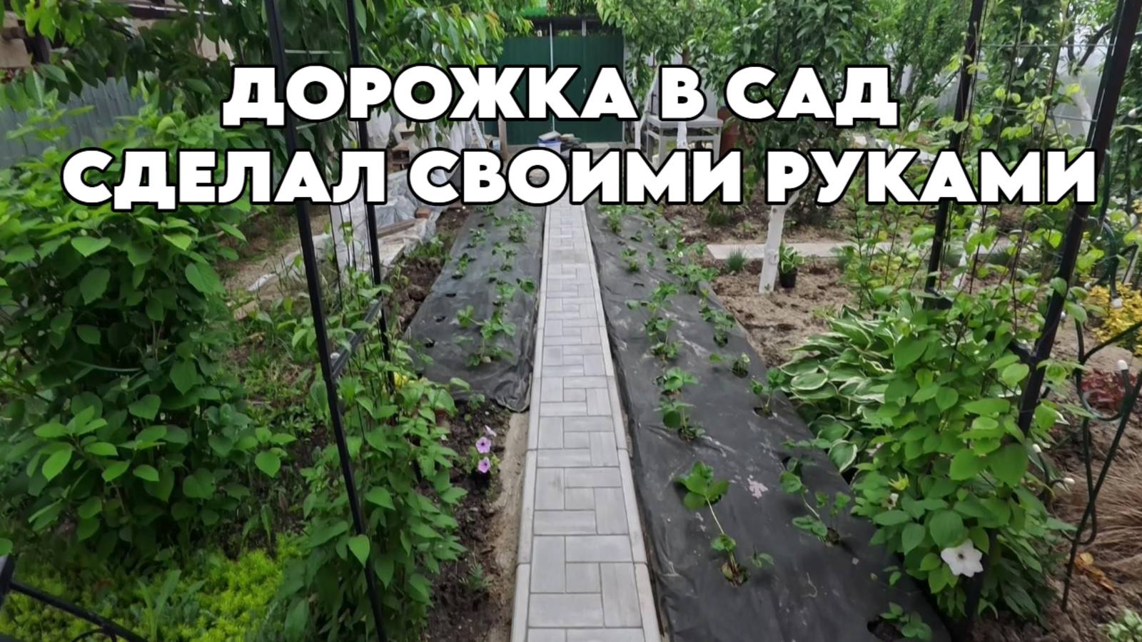 898 Купили новый дом на юге в 2019 году/Наша жизнь после переезда/Ремонт своими руками