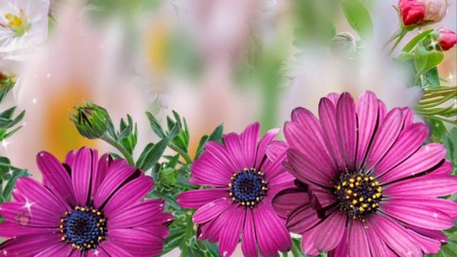 Проект ко дню рождения в мае...Музыка Раймонда  Паулса  Raymond Paulus