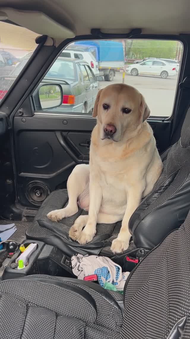 Ульзана anzl.ru устала