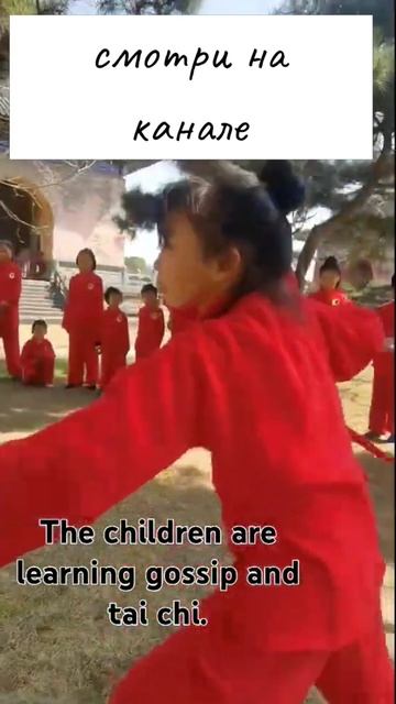 Китайские дети серьезно изучают даосское кунг-фу