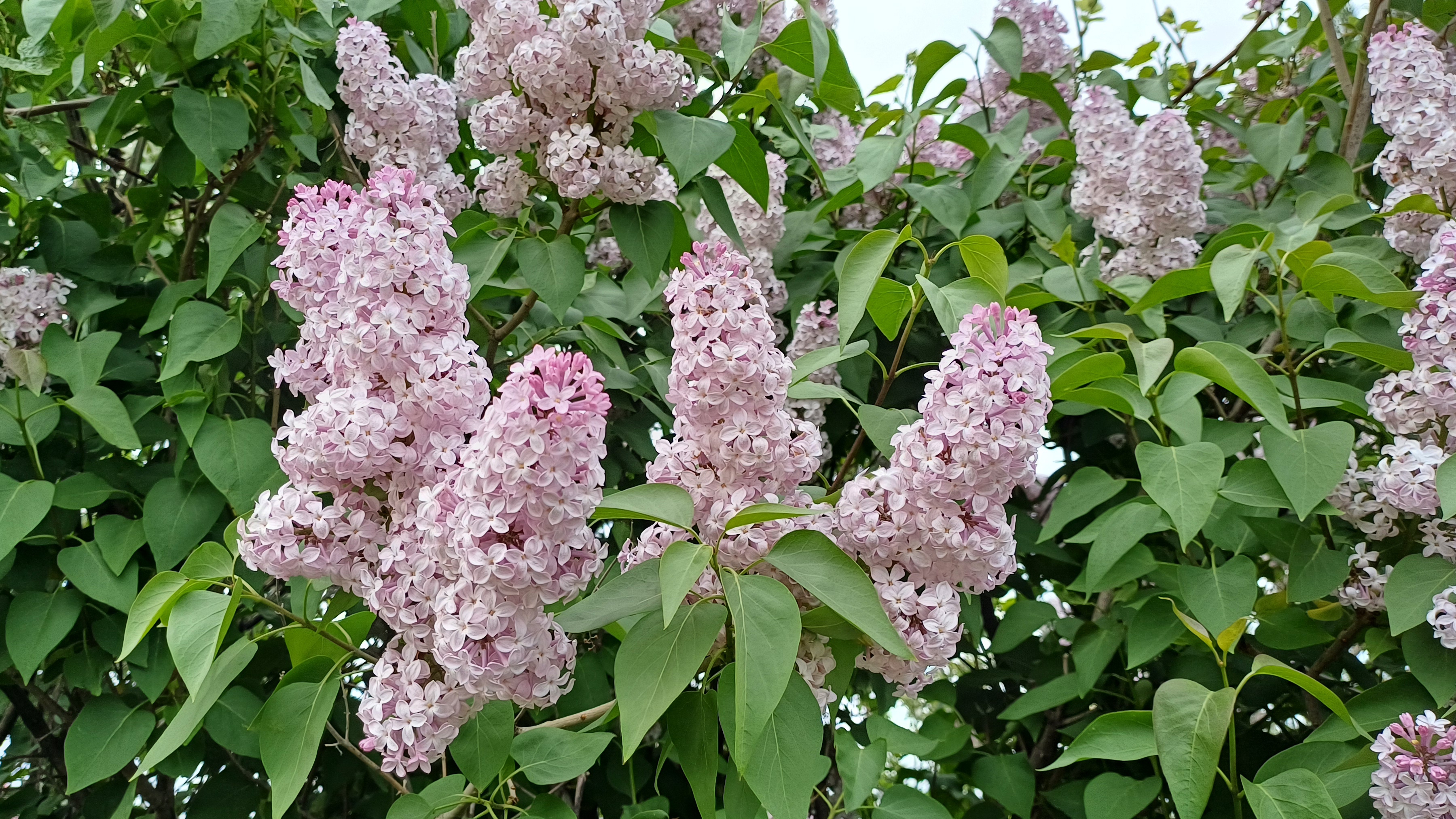 Рукодельнонедельные продвижения🧶📚🪡