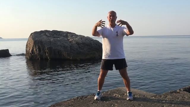 ШКОЛА ИЦЮАНЬ-6 / Тибао Чжуан. Сочетание столбов. Важные аспекты практики