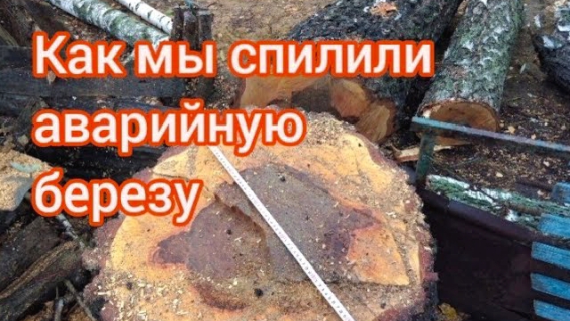 Спилили аварийное дерево своими силами.