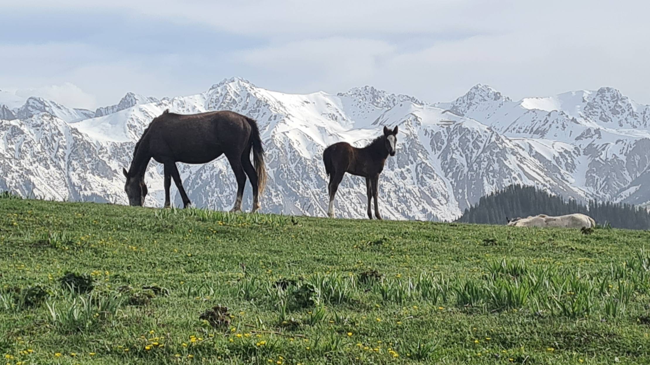 Киргизия 2024