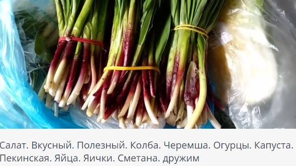 Салат. Колба. С черемшой. Полезный салат. Рецепт приготовления. Вареные яйца, колба, огурцы, соус