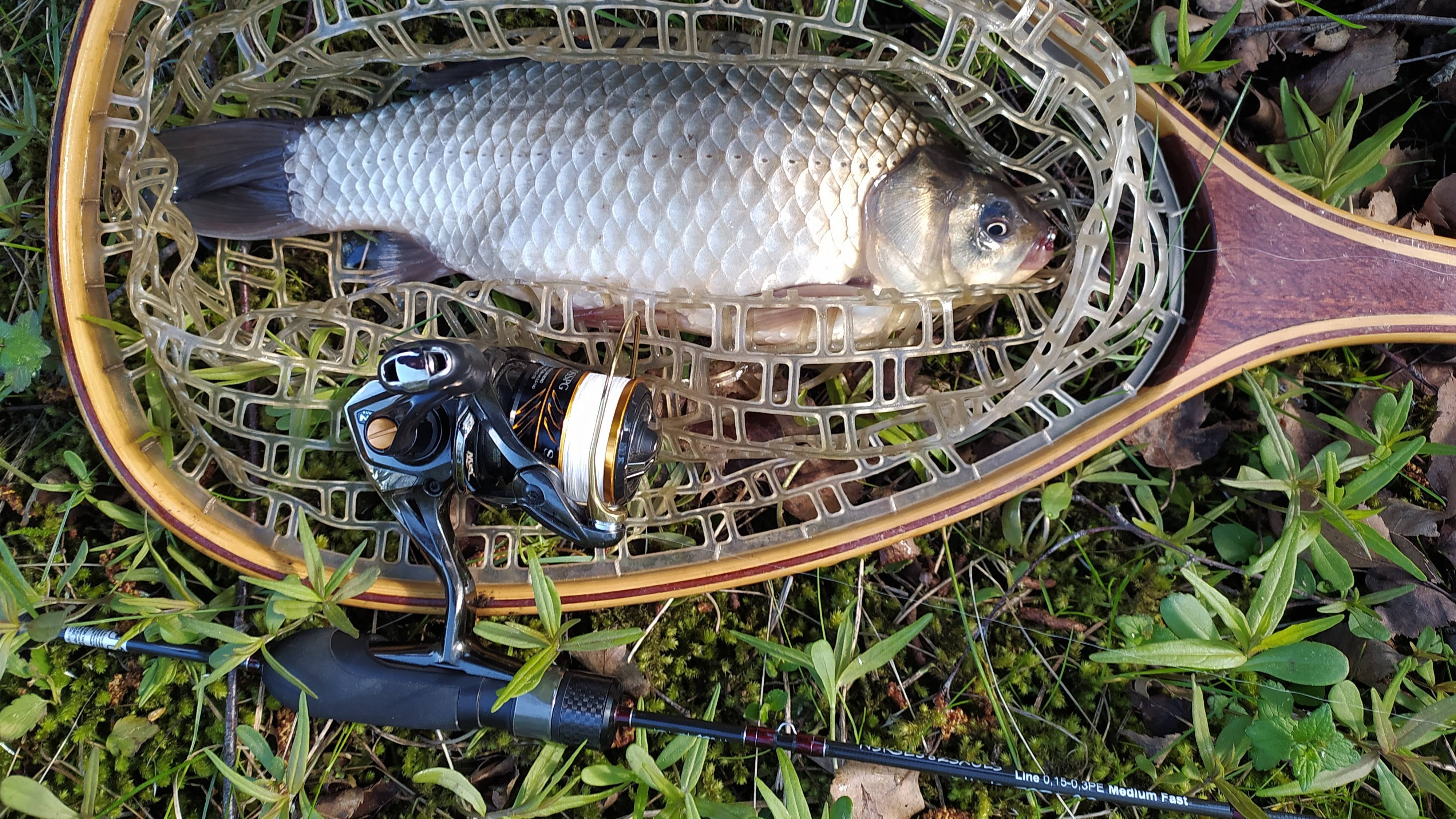 МОРМЫШИНГ. Ивановский пруд, утром 6 мая 2025 года