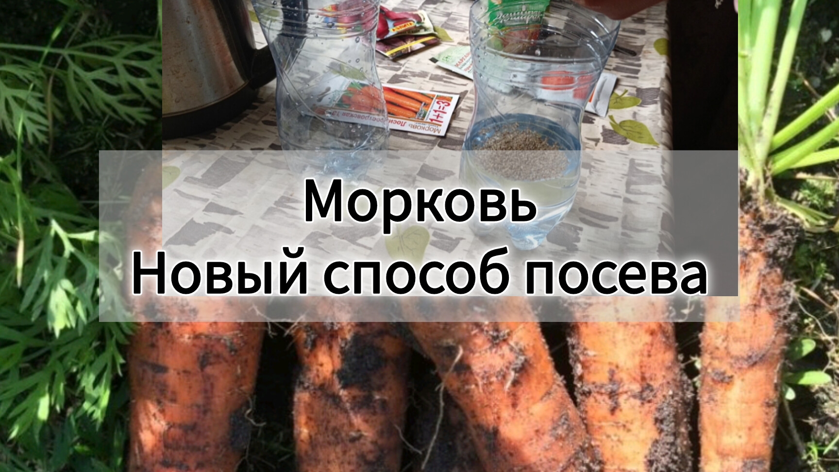 Как посеять морковь.Новый способ