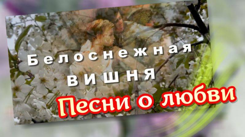 Белоснежная вишня, песни о любви
